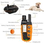 Rechargeable Waterproof Dog Training Collar with Remote