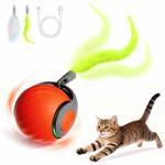 Interactive Feather Tail Cat Toy for Indoor Fun