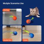 Interactive Feather Tail Cat Toy for Indoor Fun