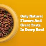 Pedigree Adult Dry Dog Food, Steak & Veggie