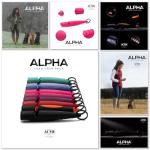 ACME Alpha Dog Training Whistle - High Pitch