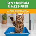 Feline Pine Platinum Cat Litter, 18lb