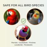 Herbal Bird Bath Spray with Eucalyptus & Thyme