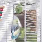 Automatic Bird Feeder with Perch for Birds