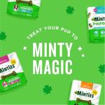 Minties Vet-Recommended Dental Chews for Small Dogs