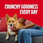 Milk-Bone Mini's Dog Treats, 36 Ounce