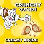 Temptations Jumbo Crunchy & Soft Cat Treats 14 oz