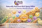 Millet Treats for Parakeets and Other Birds