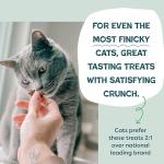 Digestive Health Chicken Cat Treats with Catnip