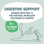 Digestive Health Chicken Cat Treats with Catnip