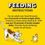 Temptations Jumbo Crunchy & Soft Cat Treats 14 oz