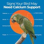UnRuffledRx Bird Calcium Plus with Magnesium and D3