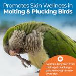 UnRuffledRx™ Aloe Vera Spray for Itchy Birds