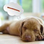 Dreambone Triple Flavor Rawhide-Free Dog Chews