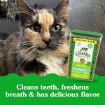 Greenies Cat Dental Treats - Catnip Flavor, 9.75 oz
