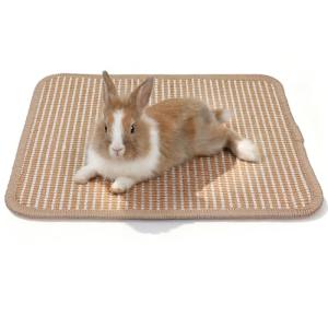 Sisal Rabbit Scratching Pad for Claw Care