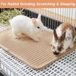 Sisal Rabbit Scratching Pad for Claw Care