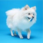 Hartz Chew'n Clean Small Dog Bone