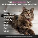Delicious Cat Multivitamin Chews for Health Support
