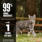 ORIJEN Grain-Free High Protein Cat Treats 1.25oz