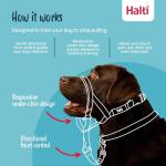Halti Headcollar: No-Pull Dog Training Collar