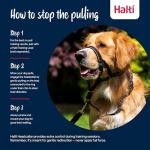 Halti Headcollar: No-Pull Dog Training Collar