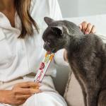 Inaba Churu Senior Cat Treats, Tuna & Chicken