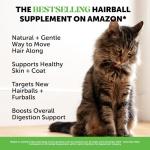 Cat Hairball Relief Chews with Vitamins, Chicken