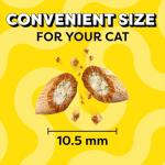 Temptations Lobster & Beef Cat Treats 16 oz