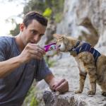 Nulo Freestyle Grain-Free Purees Wet Cat Treats