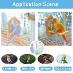Cuttlebone for Birds - 4 Pack with Holder