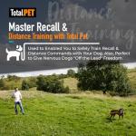 Waterproof Training Lead for Dogs - Extra Long 10m