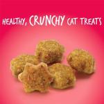Fruitables Crunchy Cat Treats with Salmon & Cranberry