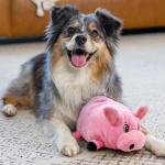 Outward Hound Fattiez Pig Plush Dog Toy
