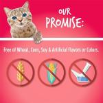 Fruitables Crunchy Cat Treats with Salmon & Cranberry