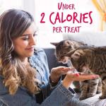 Fruitables Crunchy Cat Treats with Salmon & Cranberry