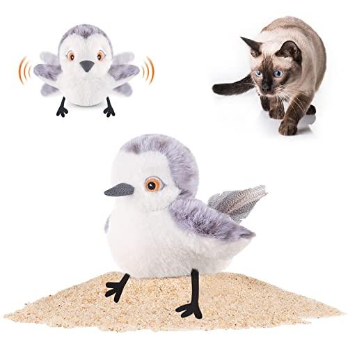 Bird Toys