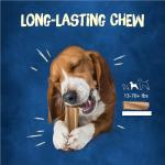Purina Busy Bone Peanut Butter Dog Treats 10 ct