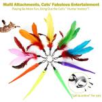 Interactive Cat Wand Toy with Feather Refills