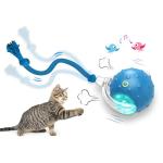 Chirping Interactive Cat Toy Ball for Indoor Play