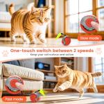 RuiDay Speedy Tail Interactive Cat Toy