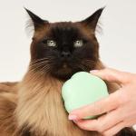Pet Teezer Cat Brush for Short to Medium Hair