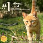 Burt's Bees Waterless Shampoo Spray for Cats