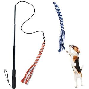 Extendable Flirt Pole Toy for Dogs and Cats