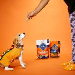 Blue Buffalo Crunchy Dog Biscuits with Pumpkin & Cinnamon