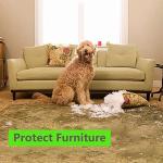 Bitter Apple Dog Anti-Chew Spray - Natural Formula