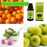 Bitter Apple Dog Anti-Chew Spray - Natural Formula