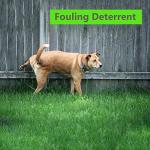 Bitter Apple Dog Anti-Chew Spray - Natural Formula