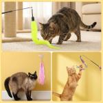 11 PCS Interactive Cat Wand Feather Toy Set