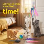 11 PCS Interactive Cat Wand Feather Toy Set
